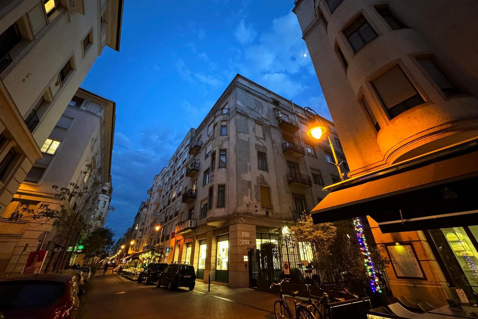 Jungle Aesthetics Downtown Apartman Aircon And Garage Parking Budapeszt Zewnętrze zdjęcie