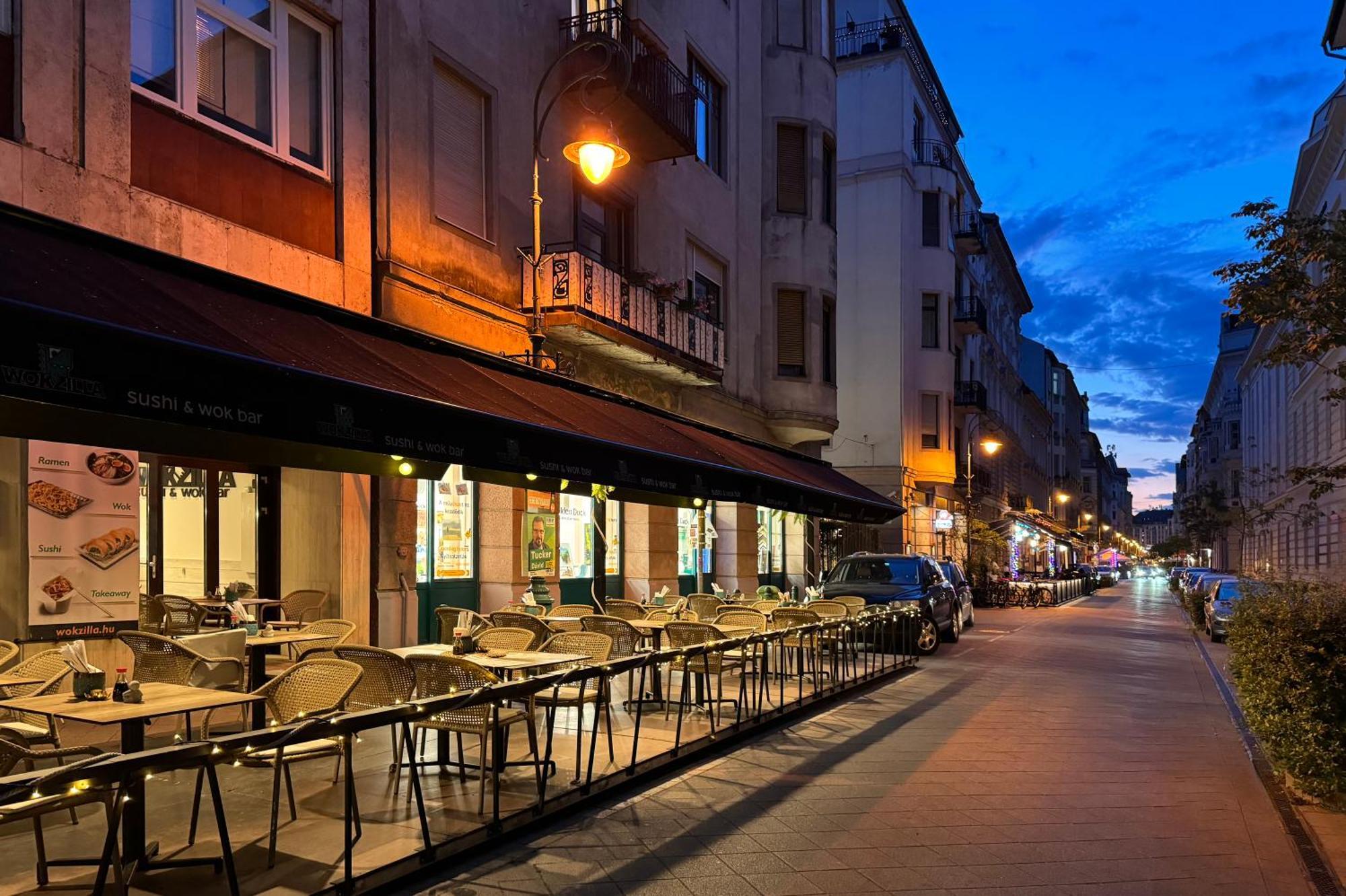 Jungle Aesthetics Downtown Apartman Aircon And Garage Parking Budapeszt Zewnętrze zdjęcie