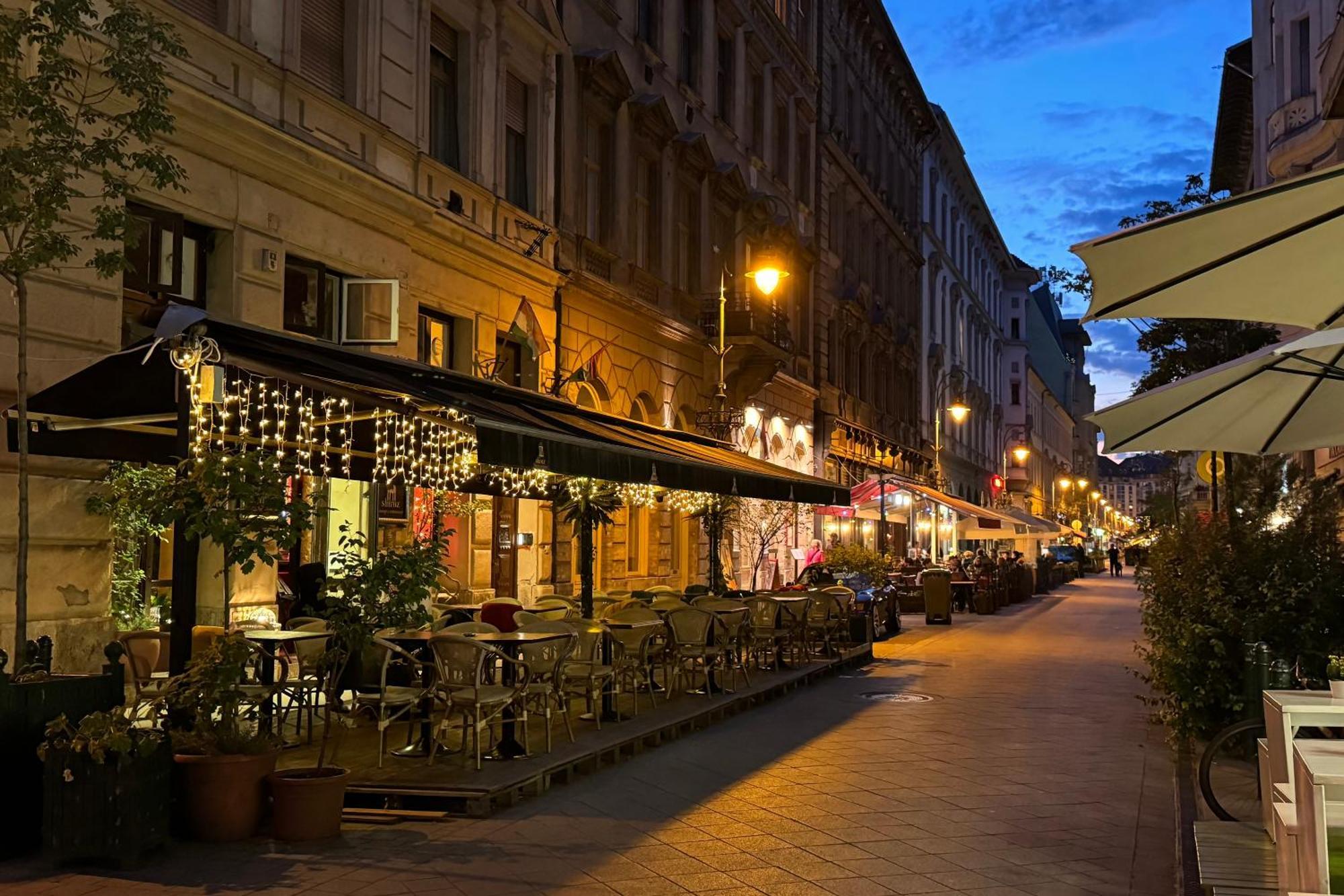 Jungle Aesthetics Downtown Apartman Aircon And Garage Parking Budapeszt Zewnętrze zdjęcie